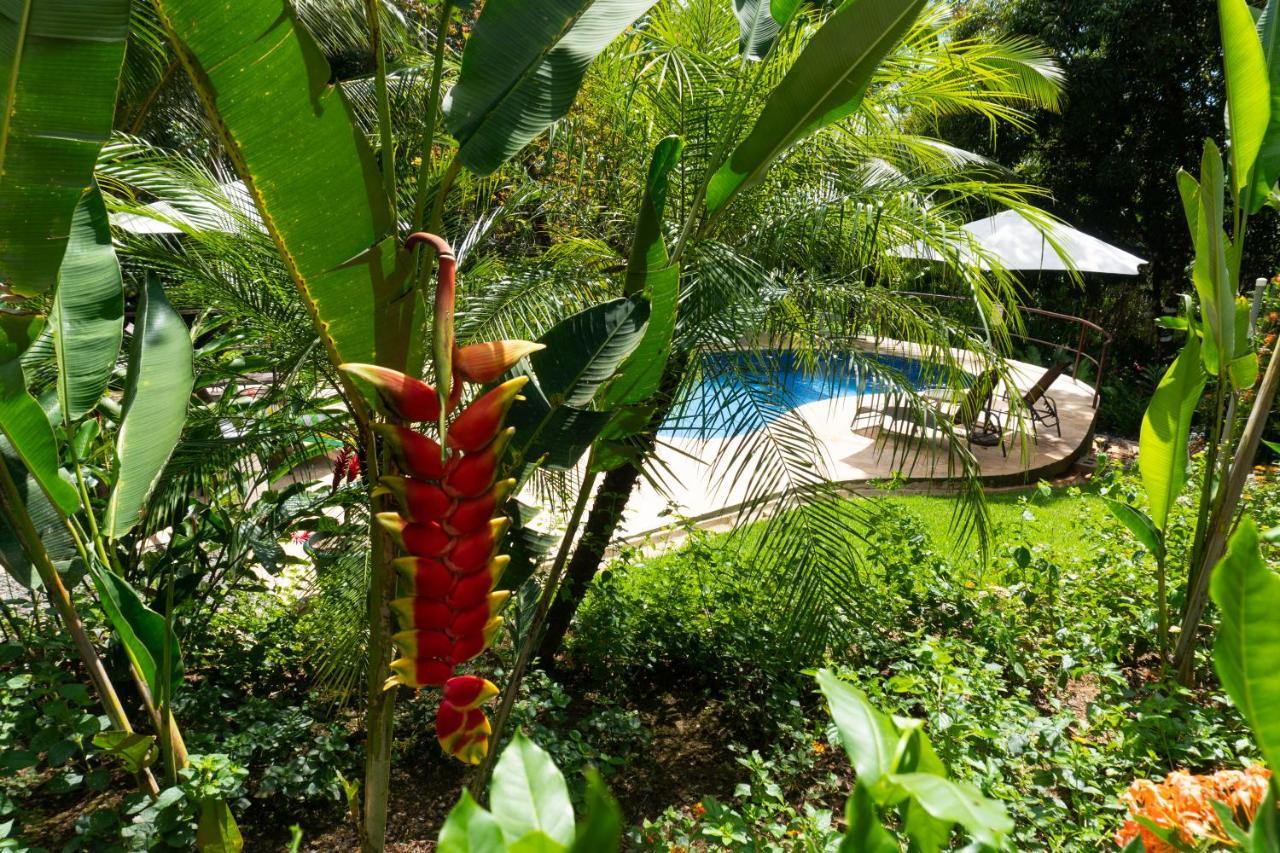 Arbol Verde Villas Ojochal Bagian luar foto