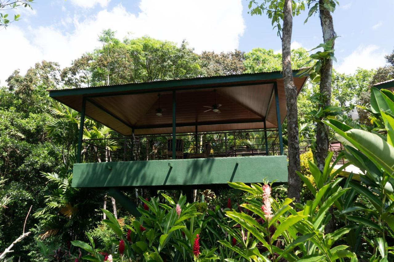 Arbol Verde Villas Ojochal Bagian luar foto