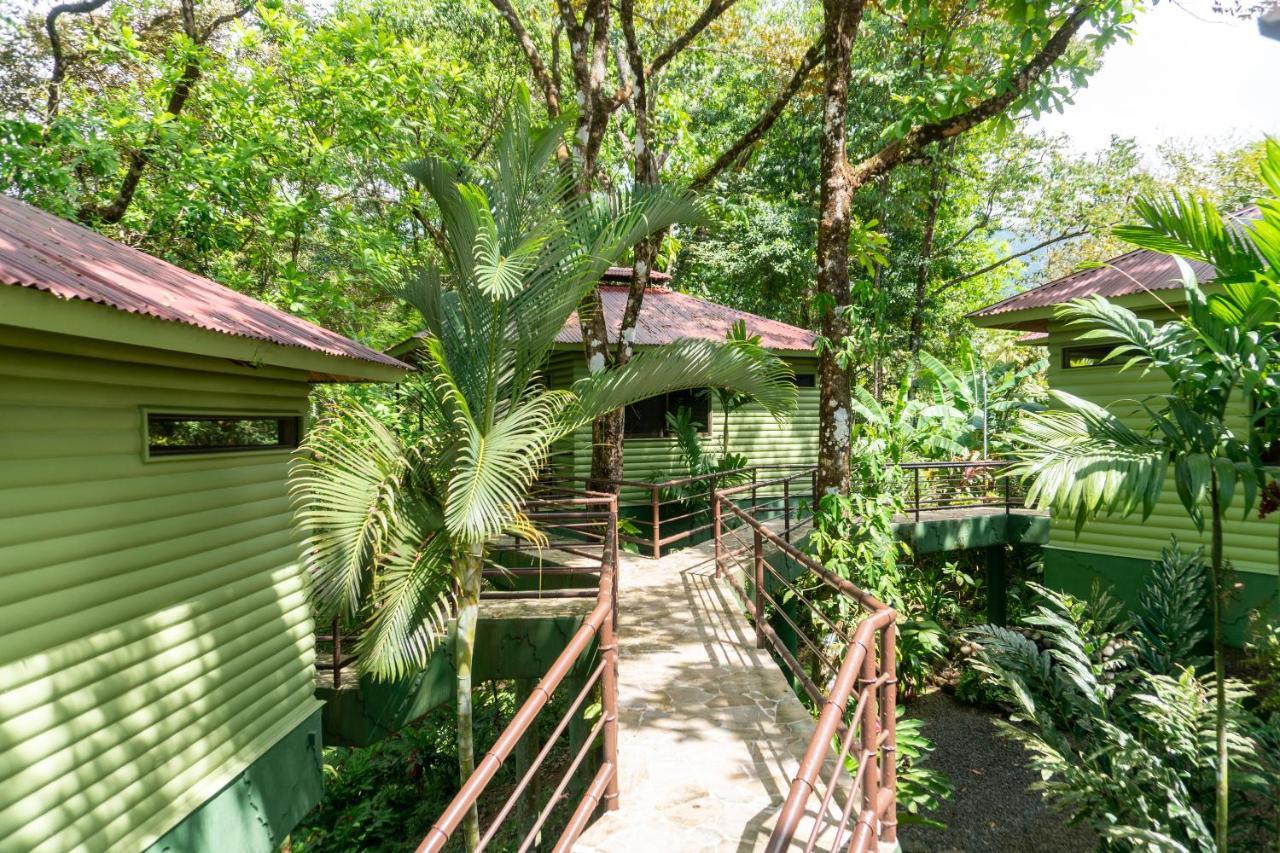Arbol Verde Villas Ojochal Bagian luar foto